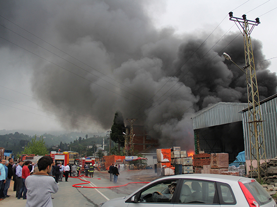 Rize'de Korkutan Yangın 10