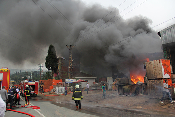 Rize'de Korkutan Yangın 12
