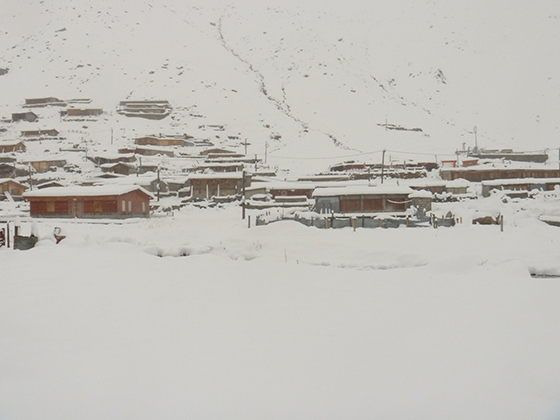 KAÇKARLAR BEYAZA BÜRÜNDÜ 8