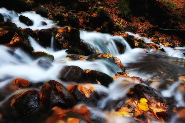 Yedigöller'de Sonbahar Güzelliği 11