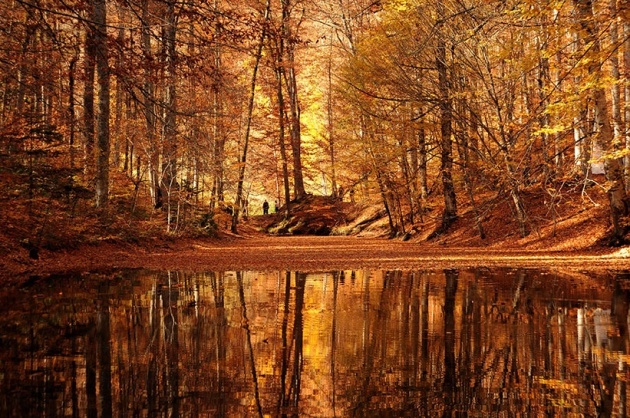 Yedigöller'de Sonbahar Güzelliği 12