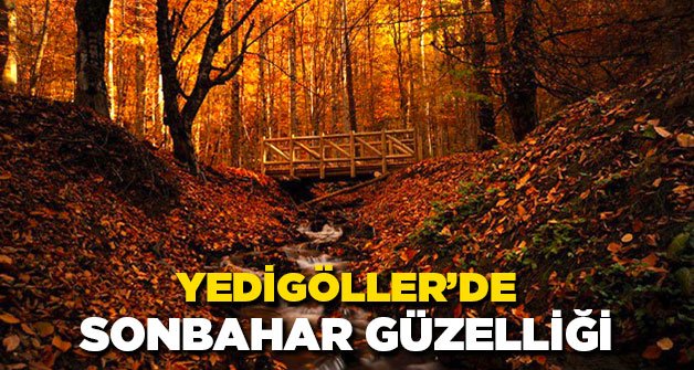 Yedigöller'de Sonbahar Güzelliği 13
