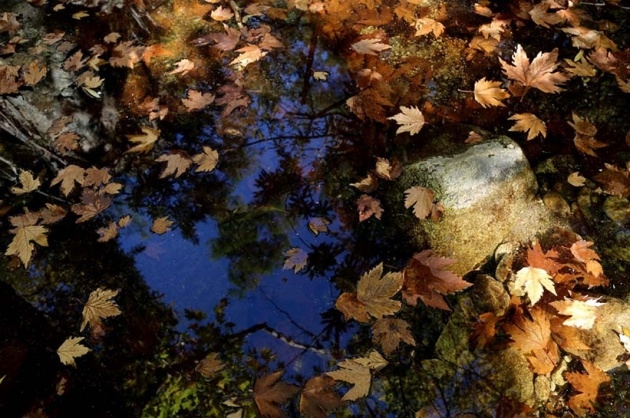 Yedigöller'de Sonbahar Güzelliği 3