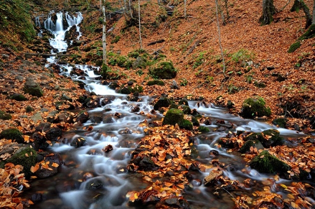 Yedigöller'de Sonbahar Güzelliği 4