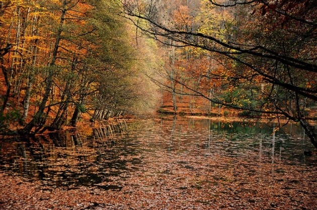 Yedigöller'de Sonbahar Güzelliği 5