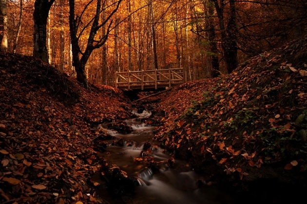 Yedigöller'de Sonbahar Güzelliği 6