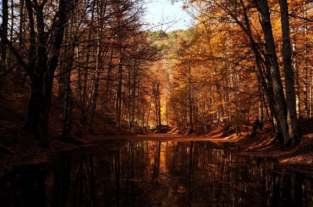 Yedigöller'de Sonbahar Güzelliği 8