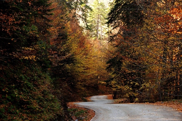 Yedigöller'de Sonbahar Güzelliği 9