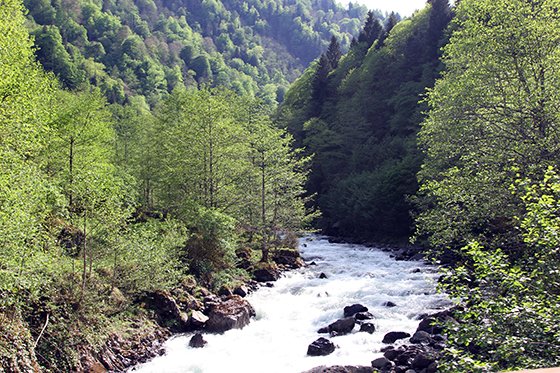 Gito Yaylası, güzelliğiyle büyülüyor 13