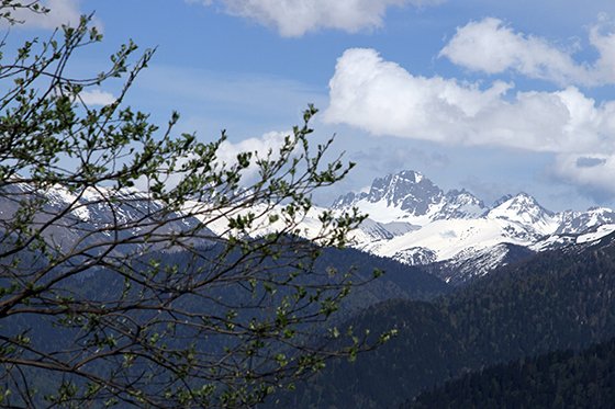 Gito Yaylası, güzelliğiyle büyülüyor 14