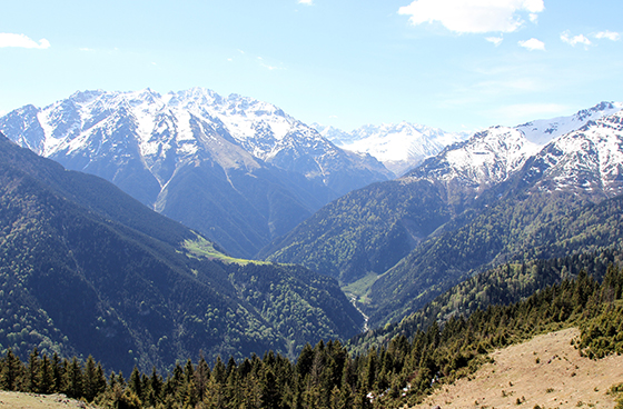 Gito Yaylası, güzelliğiyle büyülüyor 6