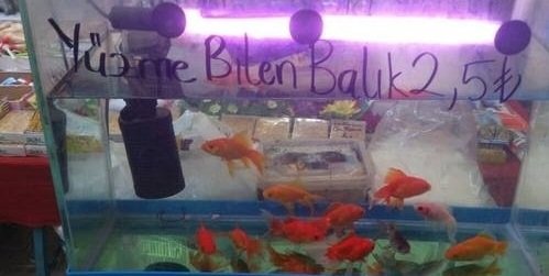 Yurdum insanından güldüren kareler! 22