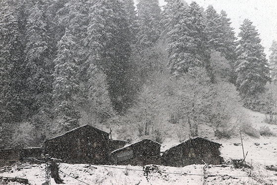 Rize'den Kar Manzaraları 2015 10