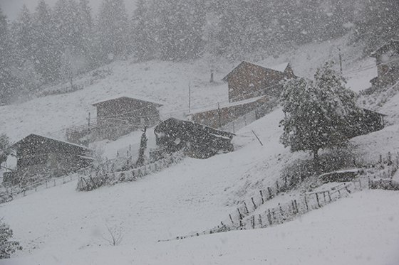 Rize'den Kar Manzaraları 2015 11