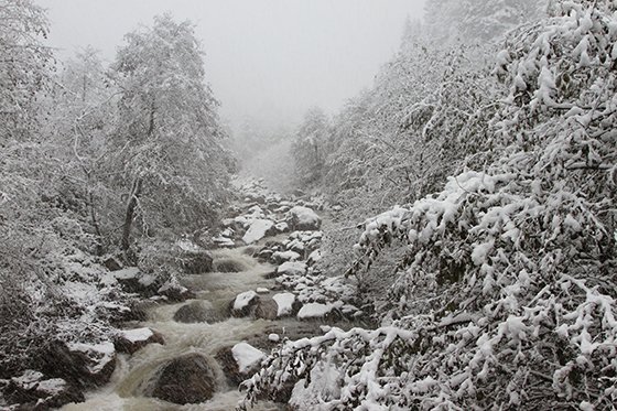 Rize'den Kar Manzaraları 2015 14
