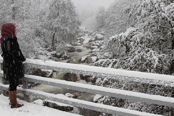 Rize'den Kar Manzaraları 2015 17