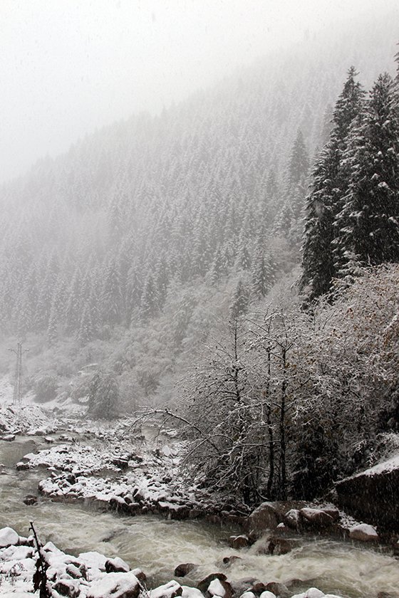 Rize'den Kar Manzaraları 2015 19