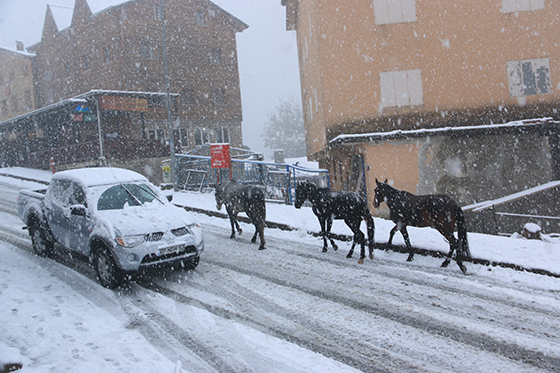 Rize'den Kar Manzaraları 2015 4