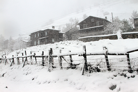 Rize'den Kar Manzaraları 2015 7
