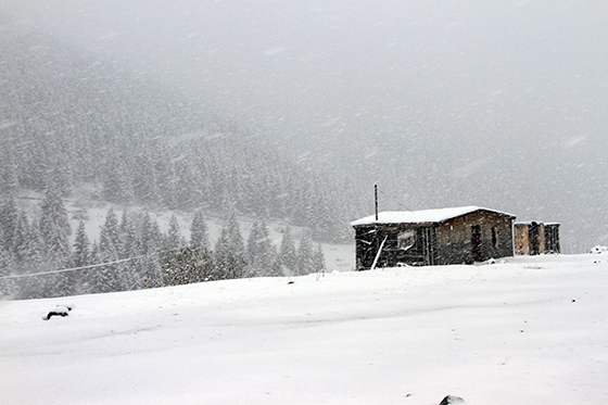 Rize'den Kar Manzaraları 2015 8