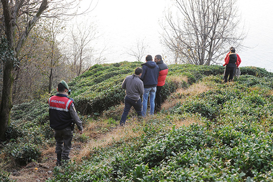 Ekipler, kapana düşen boz ayı için seferber oldu 1