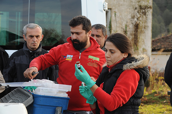Ekipler, kapana düşen boz ayı için seferber oldu 5