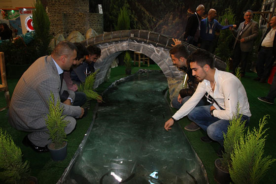 Uluslar Arası Fuar’da Rize Standı İlgi Görüyor. 3