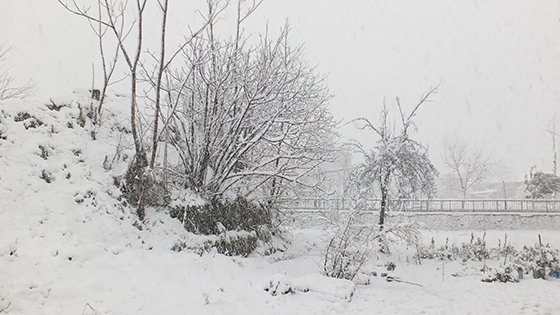 Rize'den Kar Fotoğrafları 2015 10