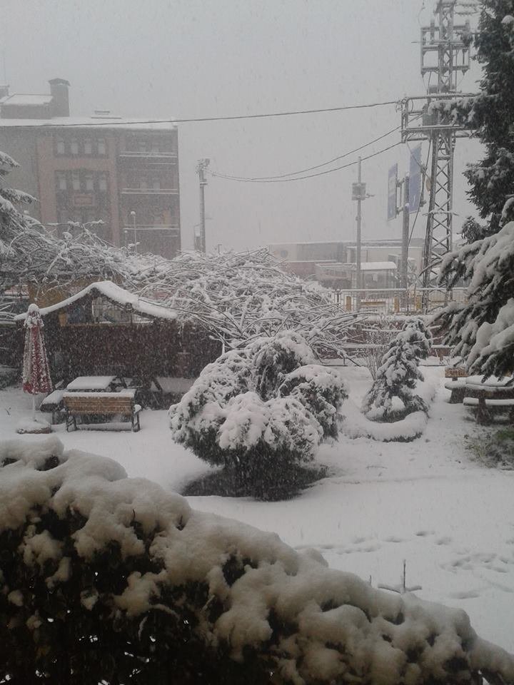 Rize'den Kar Fotoğrafları 2015 12