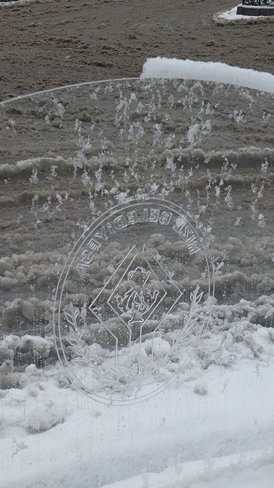 Rize'den Kar Fotoğrafları 2015 6