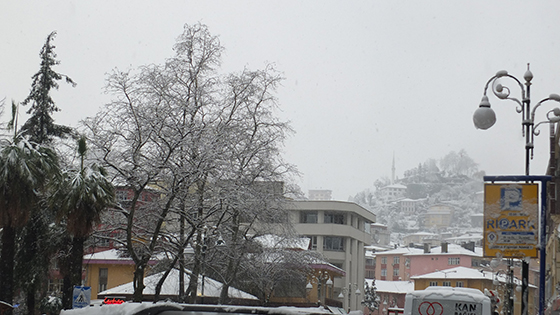 Rize'den Kar Fotoğrafları 2015 7