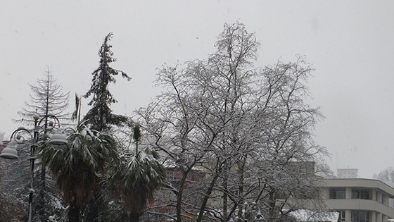 Rize'den Kar Fotoğrafları 2015 8