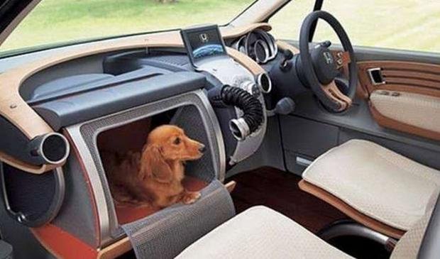 Gündelik sorunlara pratik çözümler 12