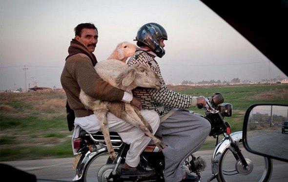 Gündelik sorunlara pratik çözümler 5