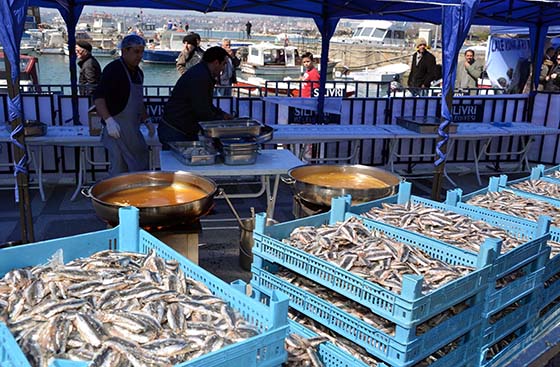 '1.Silivri Hamsi ve Horon Festivali' 10