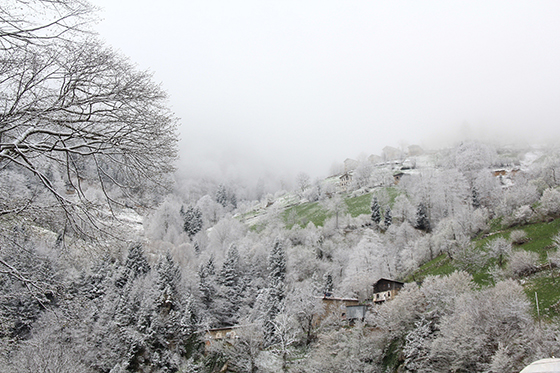 Rİze'de Bahar’ın Kış’la Buluşması 3