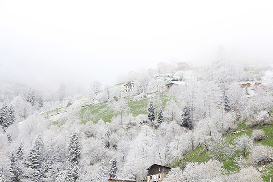 Rİze'de Bahar’ın Kış’la Buluşması 4
