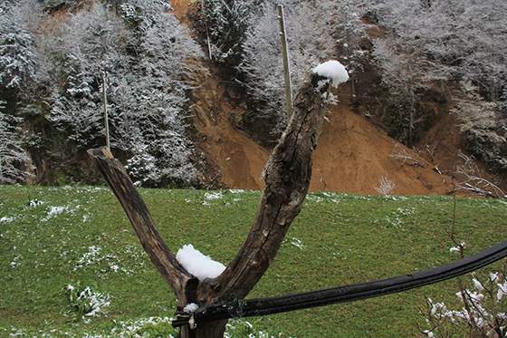 Rİze'de Bahar’ın Kış’la Buluşması 6