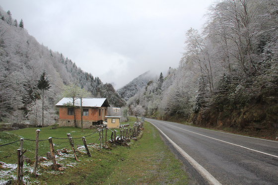 Rİze'de Bahar’ın Kış’la Buluşması 7