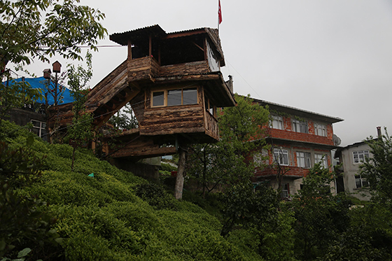 Rizeli Bunu Yaptı 'Ağaçkondu Konağı' 9