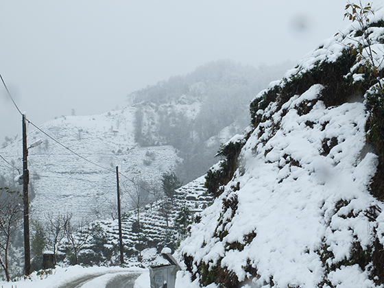 Rize'den Kar Manzaraları 9