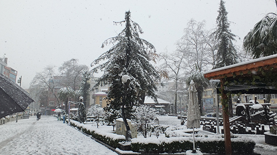 Rize'den Kar Manzaraları '31.12.2015' 10