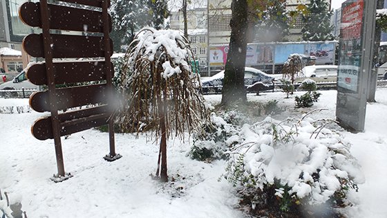 Rize'den Kar Manzaraları '31.12.2015' 11