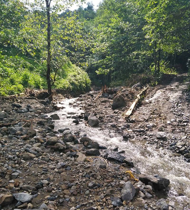 Rize'de Sel ve Heyelan Etkili Oldu 18