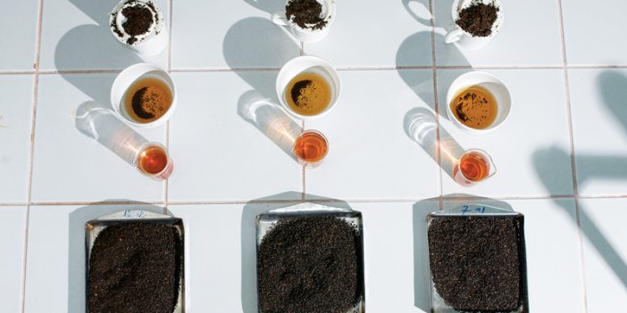 ÇAY NEDEN RİZE’DE?