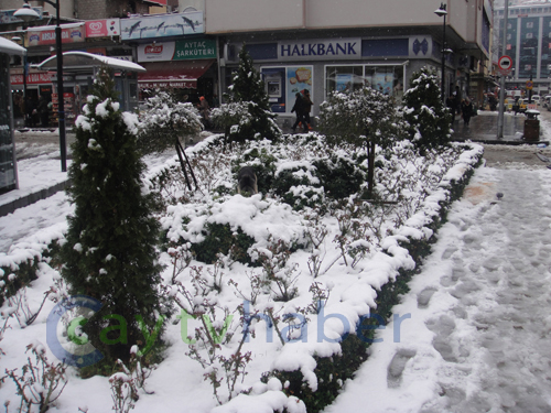 Rize Merkez'den Kar Manzaraları 1