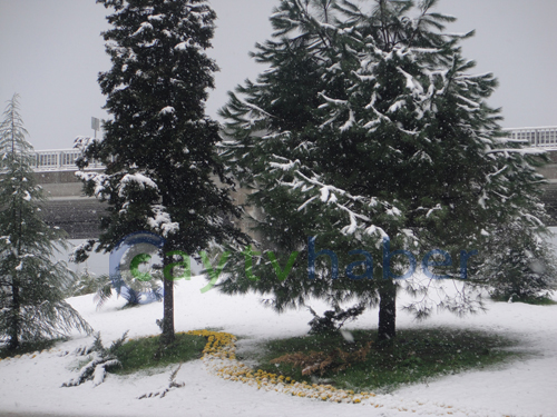 Rize Merkez'den Kar Manzaraları 2