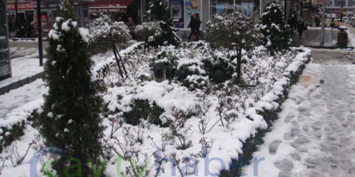 Rize Merkez'den Kar Manzaraları