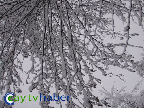 Rize Dağbaşı'ndan Kar Manzaraları 12