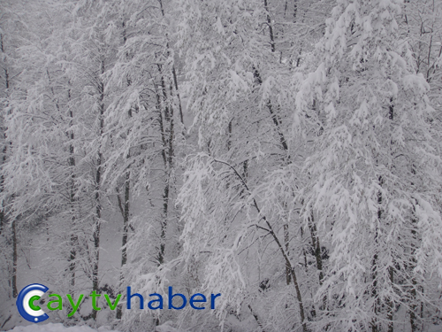 Rize Dağbaşı'ndan Kar Manzaraları 13